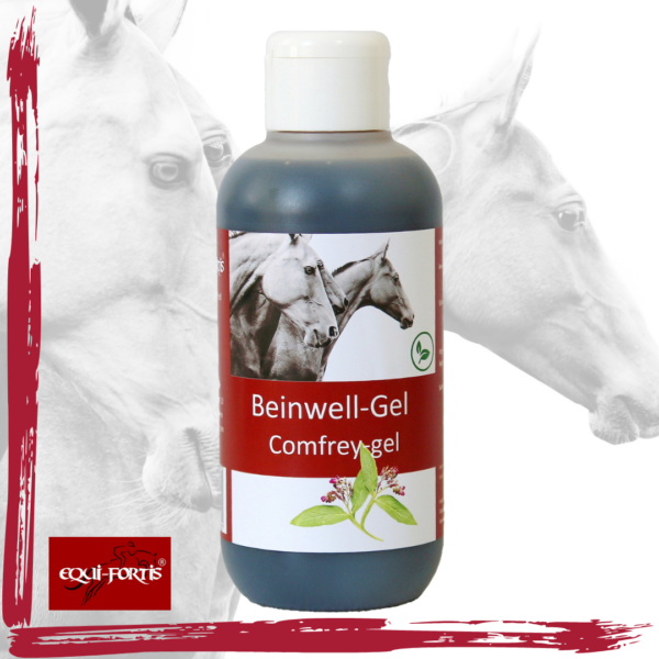 Beinwell-Gel 250