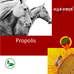 Propolis