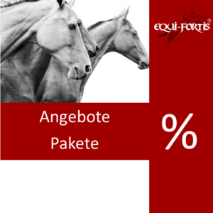 Angebote